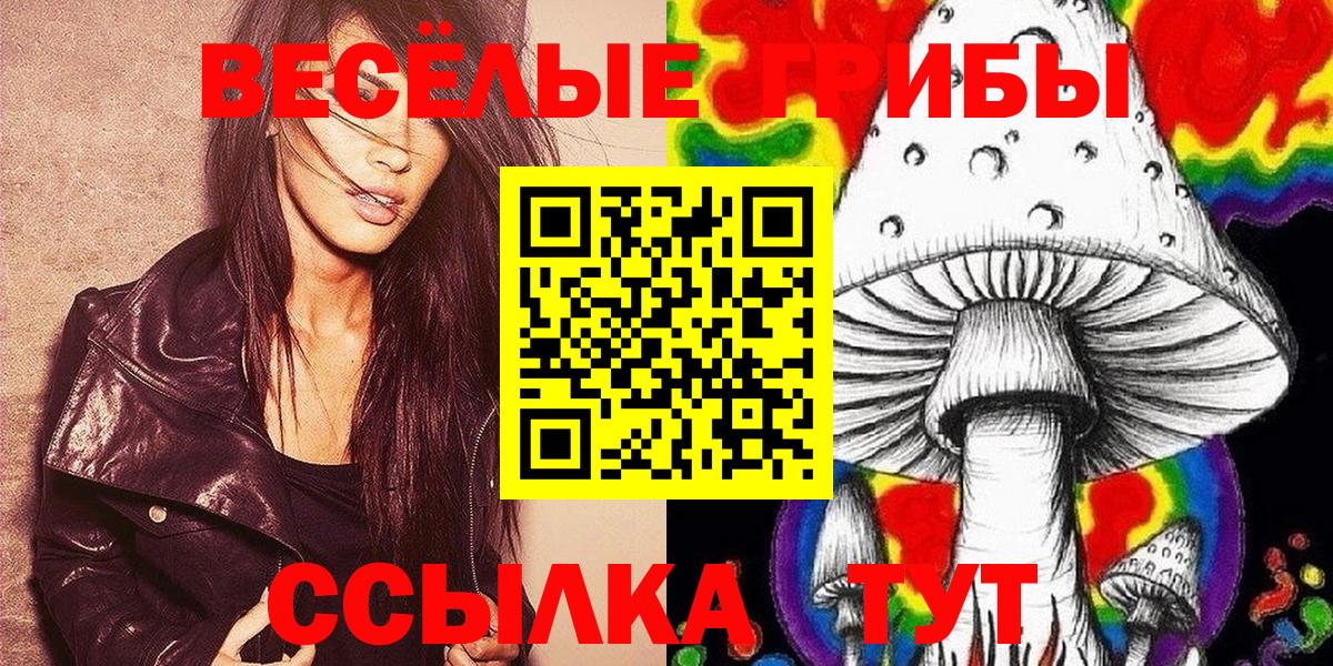 Галлюциногенные грибы Cubensis Белорецк