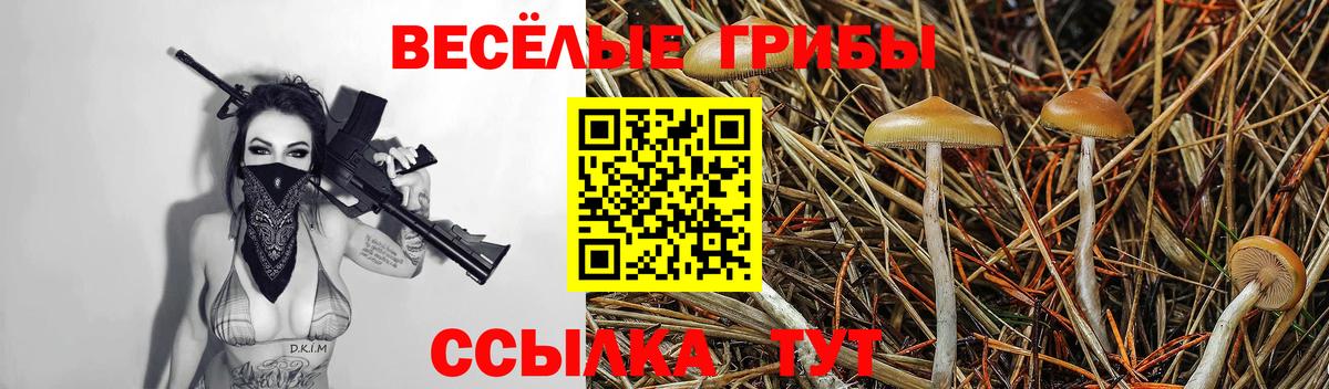 Белорецк  Галлюциногенные грибы прущие грибы  Вход с VPN  Псилоцибиновые грибы MAGIC MUSHROOMS 